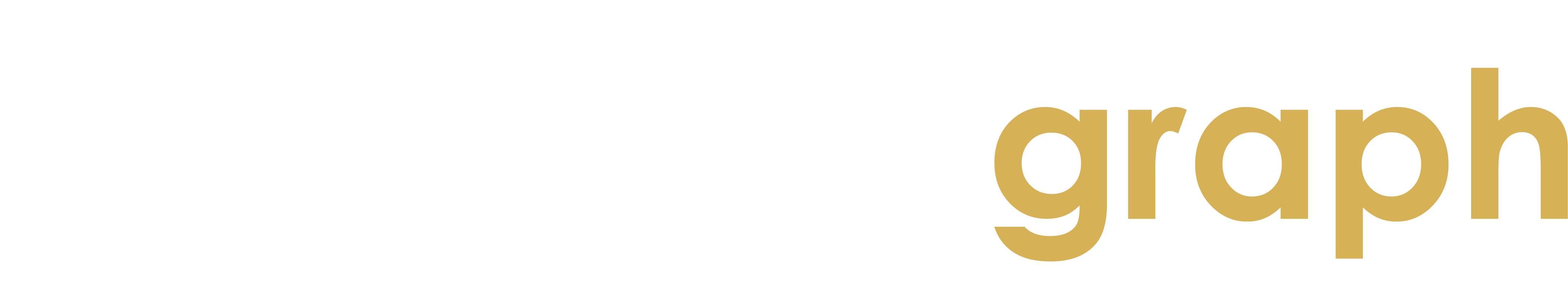 demo logo